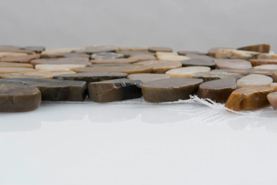 12X12 Flat Bora Wilderness | Diversity Kitchen Bath & Tile