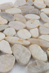 12X12 Flat Fiji Cream | Diversity Kitchen Bath & Tile