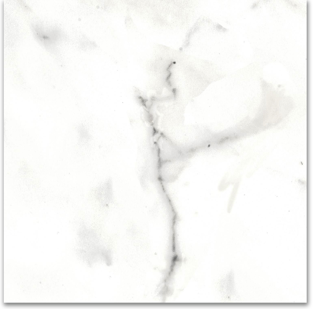 12X12F Calacatta | Diversity Kitchen Bath & Tile