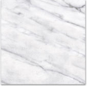 12X12F Carrara | Diversity Kitchen Bath & Tile
