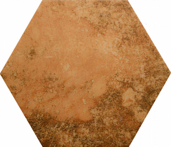 13X16 Rosso Hexagon | Diversity Kitchen Bath & Tile