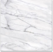 18X18F Carrara | Diversity Kitchen Bath & Tile