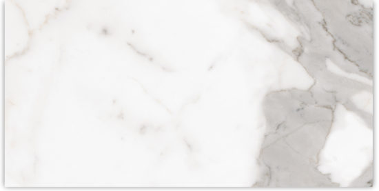 24X48 Matte Amore Grey | Diversity Kitchen Bath & Tile