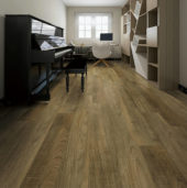 2902-American Cherry | Diversity Kitchen Bath & Tile