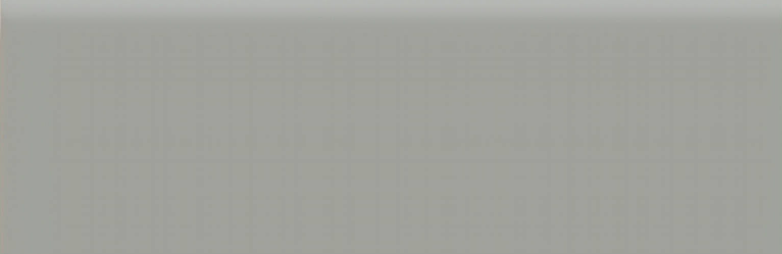 2x6 Taupe Glossy Bullnose | Diversity Kitchen Bath & Tile