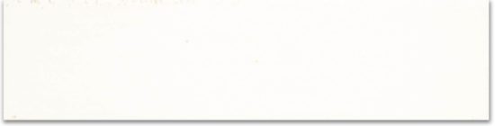 3X11 Lotus Bianco | Diversity Kitchen Bath & Tile