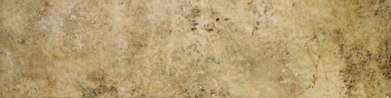 3X12 Beige Bullnose | Diversity Kitchen Bath & Tile