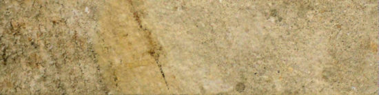 3X12 Beige Bullnose | Diversity Kitchen Bath & Tile