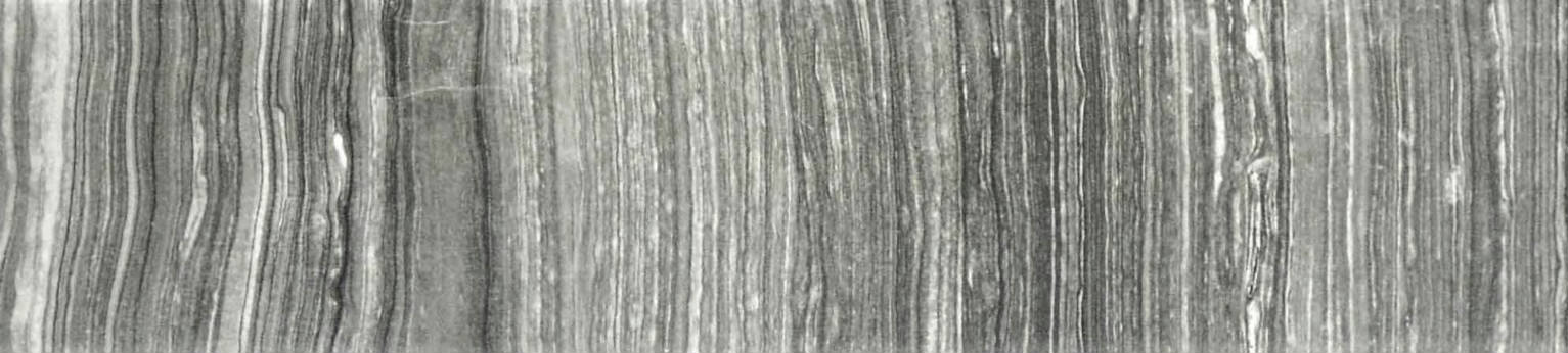 3X12 Polished Carbon Bullnose | Diversity Kitchen Bath & Tile