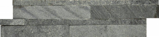 6X24F Astro Silver | Diversity Kitchen Bath & Tile