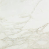 Amalfi Calacatta Honed 24X24 | Diversity Kitchen Bath & Tile