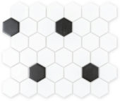 Anemone Mosaic | Diversity Kitchen Bath & Tile