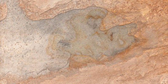 Annapurna Beige 12X24 | Diversity Kitchen Bath & Tile