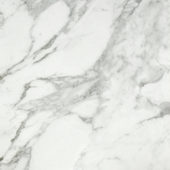 Arabescato Verona Honed 24X24 | Diversity Kitchen Bath & Tile