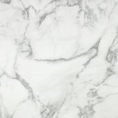 Arabescato Verona Honed 24X24 | Diversity Kitchen Bath & Tile