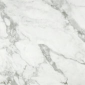 Arabescato Verona Honed 24X24 | Diversity Kitchen Bath & Tile