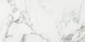 Arabescato Verona Honed 24X48 | Diversity Kitchen Bath & Tile