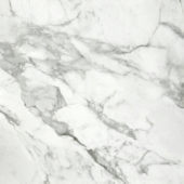 Arabescato Verona Honed 32X32 | Diversity Kitchen Bath & Tile