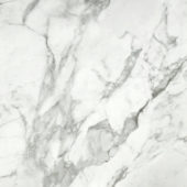 Arabescato Verona Polished 24X24 | Diversity Kitchen Bath & Tile