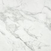 Arabescato Verona Polished 24X24 | Diversity Kitchen Bath & Tile