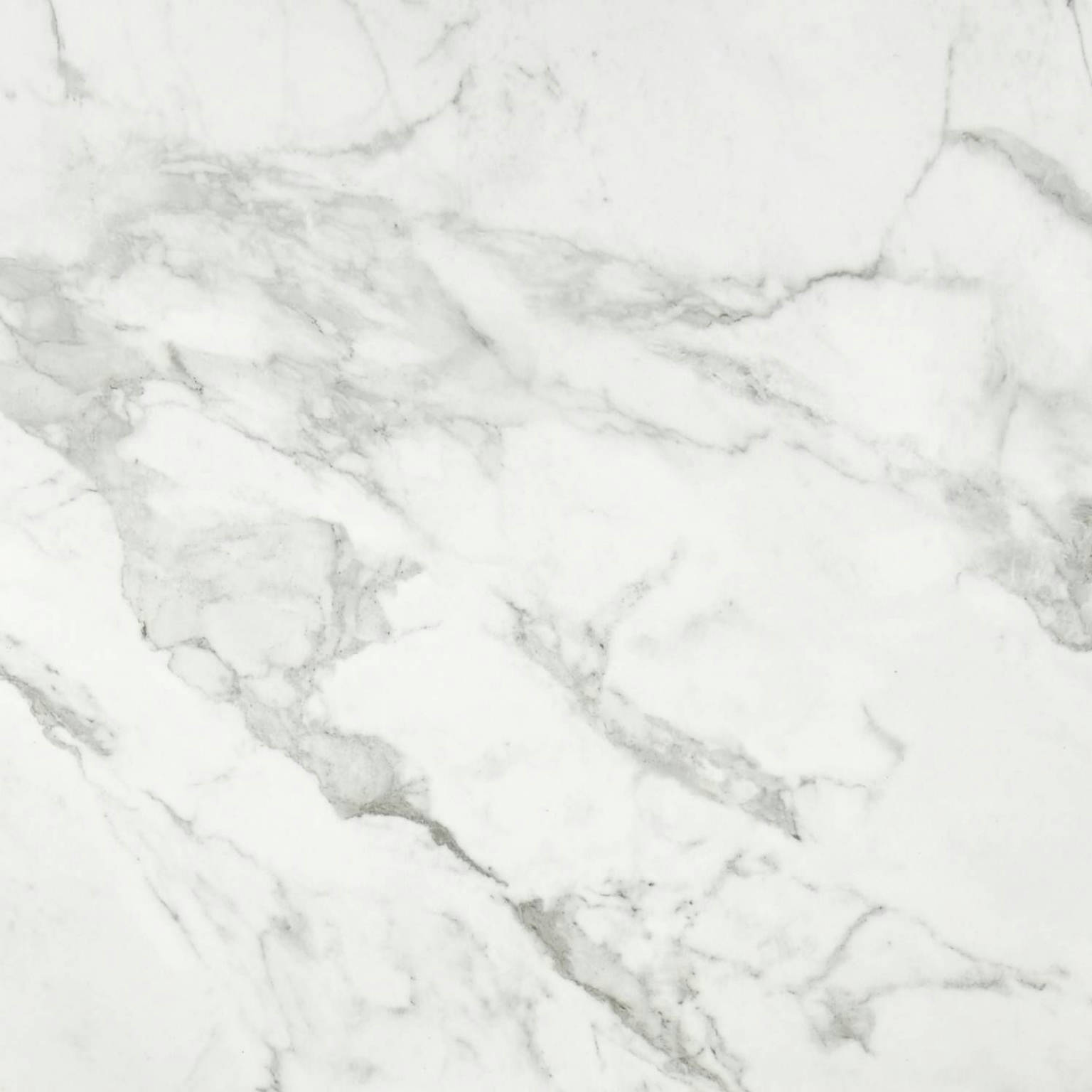 Arabescato Verona Polished 24X24 | Diversity Kitchen Bath & Tile
