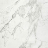Arabescato Verona Polished 32X32 | Diversity Kitchen Bath & Tile