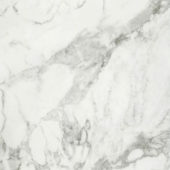 Arabescato Verona Polished 32X32 | Diversity Kitchen Bath & Tile