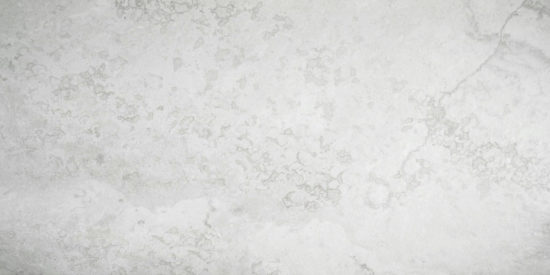 Argento 12X24 | Diversity Kitchen Bath & Tile