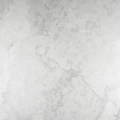 Argento 24X24 | Diversity Kitchen Bath & Tile