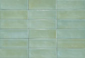 Aruba Moss Gloss 2x6 | Diversity Kitchen Bath & Tile