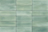 Aruba Moss Matt 2x6 | Diversity Kitchen Bath & Tile