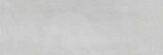 Aruba Silver Gloss 2x6 | Diversity Kitchen Bath & Tile