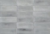 Aruba Steel Gloss 2x6 | Diversity Kitchen Bath & Tile