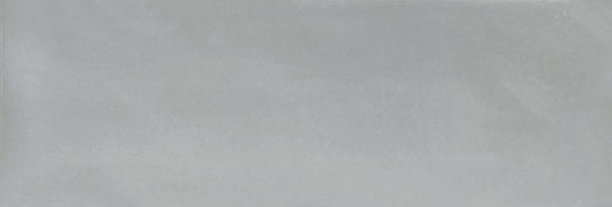 Aruba Steel Gloss 2x6 | Diversity Kitchen Bath & Tile