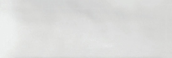 Aruba White Gloss 2x6 | Diversity Kitchen Bath & Tile