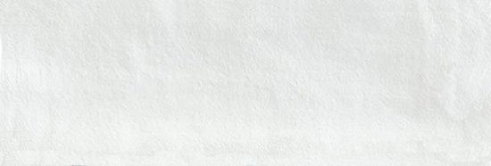 Aruba White Matt 2x6 | Diversity Kitchen Bath & Tile