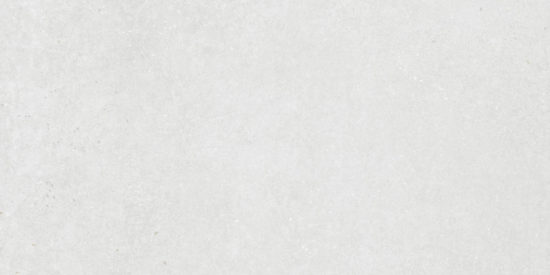 Ashland 24X48 White | Diversity Kitchen Bath & Tile