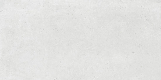 Ashland 24X48 White | Diversity Kitchen Bath & Tile