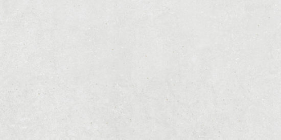 Ashland 24X48 White | Diversity Kitchen Bath & Tile