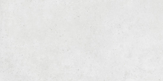 Ashland 24X48 White | Diversity Kitchen Bath & Tile