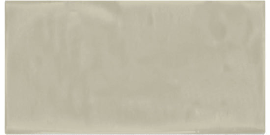 Autumn Tan 3X6 Glossy