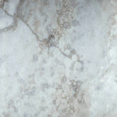 Azzurro 24X24 | Diversity Kitchen Bath & Tile