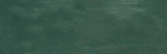 Barcelona 2x6" Green | Diversity Kitchen Bath & Tile