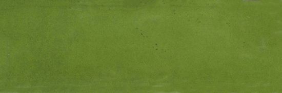 Barcelona 2x6" Olive | Diversity Kitchen Bath & Tile