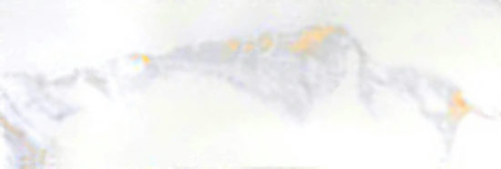 Calacatta 3x9" Calacatta | Diversity Kitchen Bath & Tile