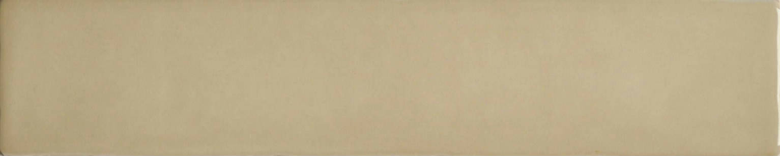 Cappuccino Mix 2X10 | Diversity Kitchen Bath & Tile