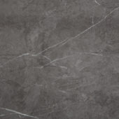 Carpantian Matte Wall Panel 24x48 | Diversity Kitchen Bath & Tile