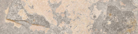 Chitwan Gris 3X12 Bullnose | Diversity Kitchen Bath & Tile