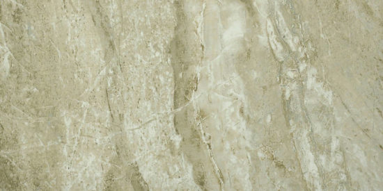 Congo 12X24 | Diversity Kitchen Bath & Tile