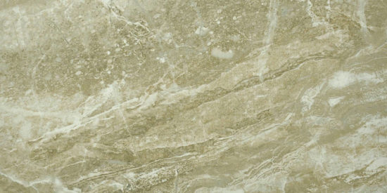 Congo 12X24 | Diversity Kitchen Bath & Tile